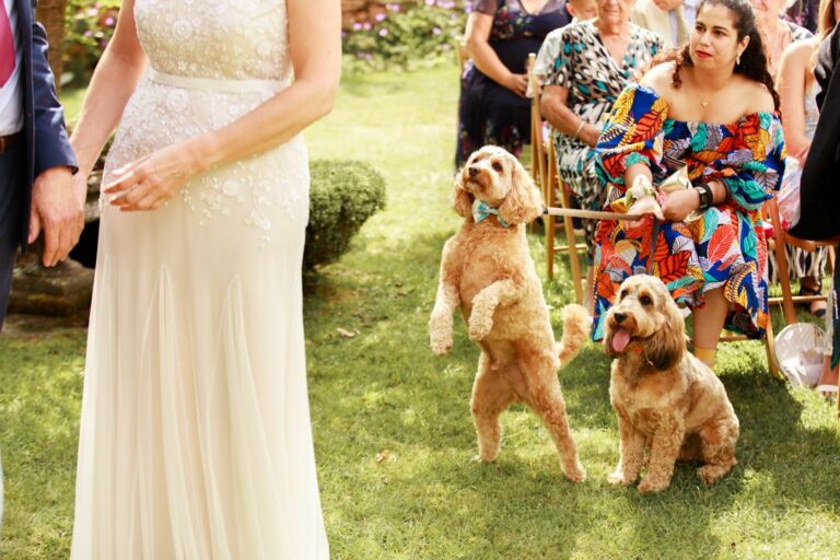 Wedding+Dog+001_-2