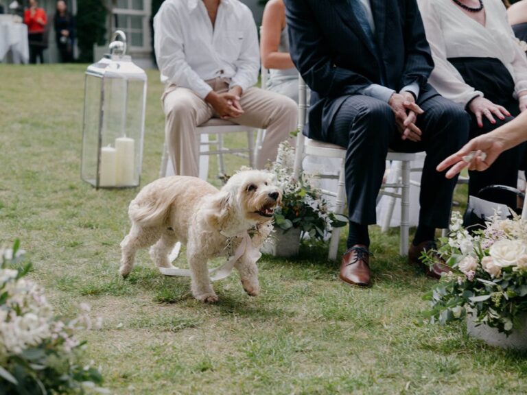 wedding 5