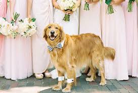 wedding1